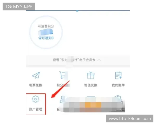 凯发官网会员登录成功后如何进行账户资金管理与安全设置 凯发官网会员登录成功后如何进行账户资金管理与安全设置